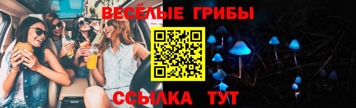 Усть-Джегута  Галлюциногенные грибы Psilocybe  Вход с VPN 